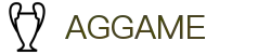 AGGAME·(中国区)集团官方网站